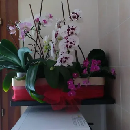 Casa Orchidea